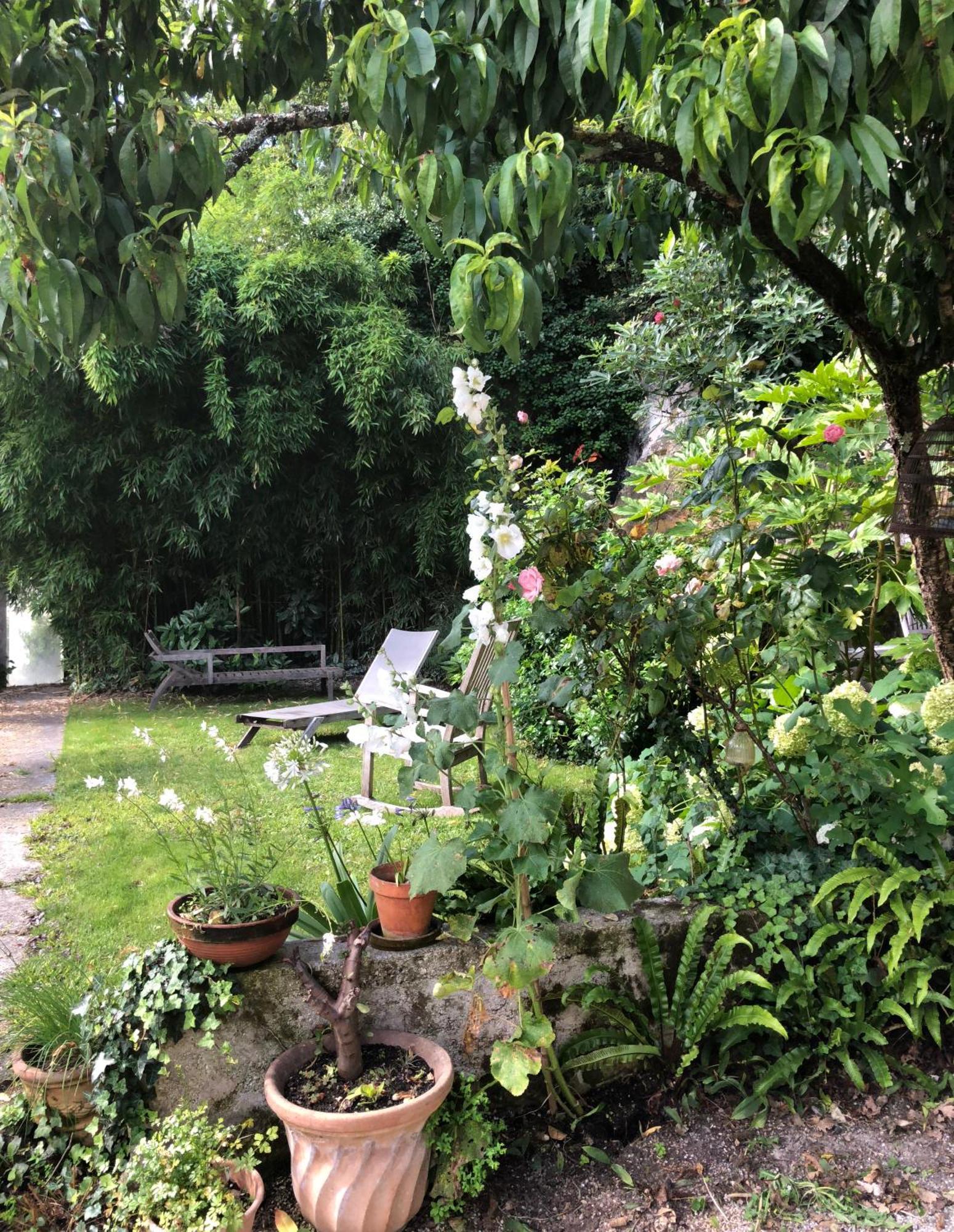 Bed and Breakfast L'Heure Bleue Saintes Exterior foto